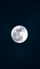 📱夜 兎のクレーター 綺麗な満月 iPhone XS Max 壁紙・待ち受け