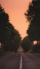 📱街路樹と真っすぐ伸びる黒い道路 iPhone XS Max 壁紙・待ち受け