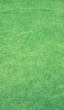 📱刈り揃えられた緑の芝 iPhone 11 Pro Max 壁紙・待ち受け