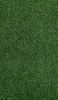 📱濃い緑の芝生 iPhone 11 Pro Max 壁紙・待ち受け