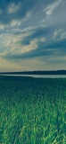 📱綺麗な青空と川沿いの草原 iPhone 11 Pro Max 壁紙・待ち受け