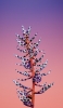 📱紫・白の花 紫とオレンジの背景 iPhone 13 Pro Max 壁紙・待ち受け