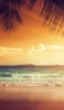 📱椰子の木越しに見る綺麗な海 iPhone XS Max 壁紙・待ち受け