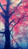 📱綺麗な紅葉の樹 iPhone 11 Pro Max 壁紙・待ち受け