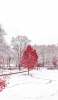 📱綺麗な冬の公園と赤い木 iPhone 13 Pro Max 壁紙・待ち受け