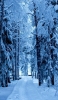 📱白い雪で覆われた森の道 iPhone SE (第1世代) 壁紙・待ち受け