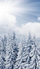 📱雪で覆われた森 iPhone 5 壁紙・待ち受け