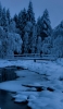 📱凍り付いた池と森 iPhone 5 壁紙・待ち受け