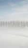📱雪で霞む景色 iPhone SE (第1世代) 壁紙・待ち受け