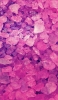 📱濃淡のあるピンクのグラデーションの鉱石 iPhone SE (第1世代) 壁紙・待ち受け