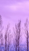 📱紫の景観 枯れ木 iPhone 5 壁紙・待ち受け