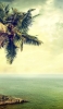 📱緑の椰子の木と海 iPhone SE (第1世代) 壁紙・待ち受け