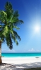 📱椰子の木と綺麗なビーチ iPhone 5 壁紙・待ち受け