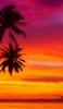 📱赤く染まる夕日と椰子の木 iPhone 5 壁紙・待ち受け