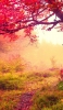 📱綺麗な秋の紅葉 iPhone 5 壁紙・待ち受け
