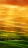 📱黄色と緑の丘陵地帯 iPhone 5 壁紙・待ち受け