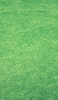 📱緑の芝 iPhone 5 壁紙・待ち受け