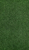 📱濃い緑の芝生 iPhone 5 壁紙・待ち受け