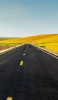 📱黄色い線と黒い道路と金色の丘 iPhone 6s 壁紙・待ち受け