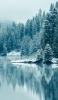 📱雪が積もる針葉樹と冷たい湖 iPhone 6s 壁紙・待ち受け