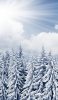 📱雪と森と青空 iPhone 7 壁紙・待ち受け