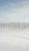 📱冬の雪景色 雑木林 iPhone SE (第3世代) 壁紙・待ち受け
