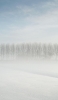 📱冬の雪景色 雑木林 iPhone SE (第2世代) 壁紙・待ち受け