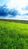 📱青空と緑の草原 iPhone 6 壁紙・待ち受け