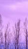 📱淡い紫の空 枯れ木 iPhone 6 壁紙・待ち受け
