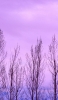 📱薄い紫の背景 草木 iPhone SE (第3世代) 壁紙・待ち受け