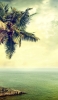 📱緑に染まる穏やかな海と椰子の木 iPhone SE (第3世代) 壁紙・待ち受け