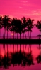 📱夕焼け 椰子の木 海 ハワイ 鏡面 ビーチ iPhone SE (第3世代) 壁紙・待ち受け