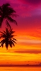 📱赤紫の夕日と椰子の木 iPhone 6 壁紙・待ち受け