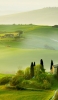 📱朝靄 緑の牧歌的風景 iPhone 6 壁紙・待ち受け
