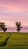 📱緑の牧草地 ピンクの空 iPhone 7 壁紙・待ち受け