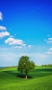 📱緑の大木 雲の多い青空 iPhone SE (第3世代) 壁紙・待ち受け