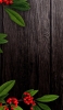 📱焦げ茶色の木の板 赤い実 緑の草 iPhone SE (第2世代) 壁紙・待ち受け