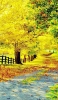 📱黄色い葉 落ち葉 砂利道 木の柵 iPhone 7 壁紙・待ち受け