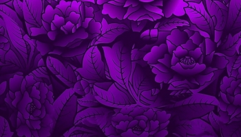 📱紫 光る薔薇のイラスト iPhone 6 壁紙・待ち受け