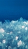 📱青い海と簡略化された白い花の油絵 iPhone 7 壁紙・待ち受け