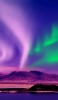 📱海と荒野と紫・緑のオーロラ iPhone 6s 壁紙・待ち受け