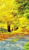 📱緑と黄色の大木 黄色い絨毯 iPhone 7 壁紙・待ち受け