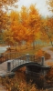 📱秋 石の橋とオレンジの樹木 iPhone SE (第3世代) 壁紙・待ち受け