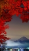 📱紅葉 富士山 曇り空 iPhone SE (第3世代) 壁紙・待ち受け