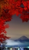 📱海と富士山と紅葉 iPhone 8 壁紙・待ち受け