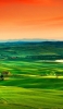 📱オレンジの夕焼けと緑の牧歌的風景 iPhone 6s 壁紙・待ち受け