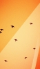 📱綺麗なオレンジの背景 空飛ぶ黒い渡り鳥 iPhone 7 壁紙・待ち受け