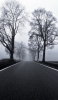 📱真っすぐ伸びる黒い道路 冬の枯れ木 モノクロ iPhone 8 壁紙・待ち受け