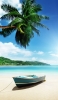 📱砂浜にある水色のボートと椰子の木 iPhone 6s 壁紙・待ち受け