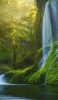 📱川と森と滝 iPhone SE (第3世代) 壁紙・待ち受け